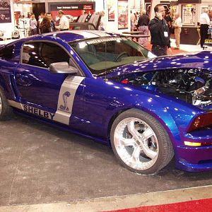 SEMA:  Mustangs with Shelby Name on Them