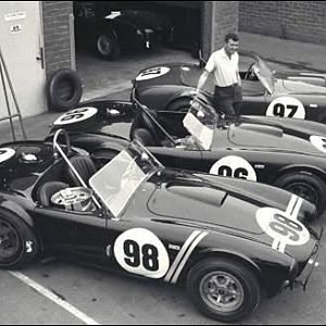 Shelby Cobras