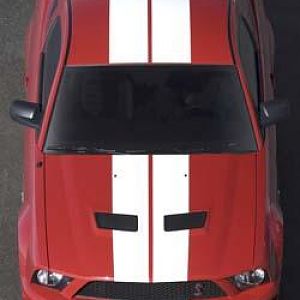 2007 Ford Shelby GT500