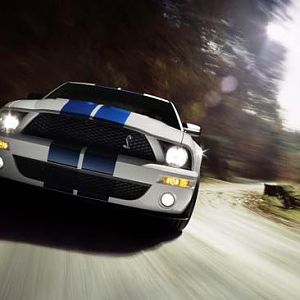 2007 Ford Shelby GT500