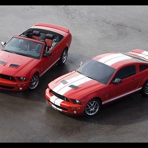 2007 Ford Shelby GT500