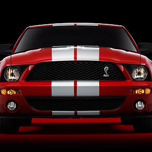 2007 Ford Shelby GT500