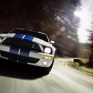 2007 Ford Shelby GT500