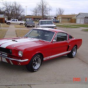 Shelby3_Feb2005