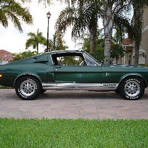 shelbyvince's 1968 Shelby GT500KR