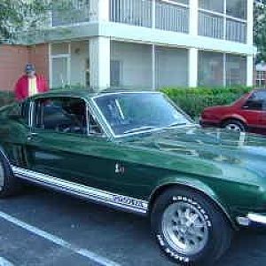 shelbyvince's 1968 Shelby GT500KR