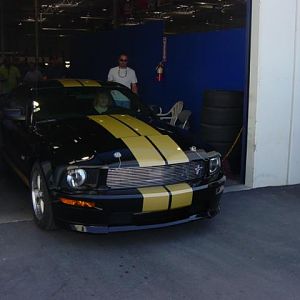 Shelby GT-H