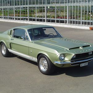 Rico's 68 GT350