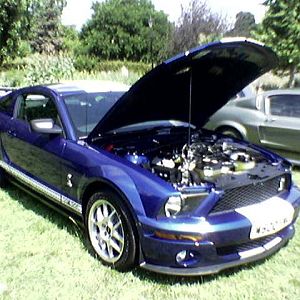 First 2007 Shelby GT500 in Europe?