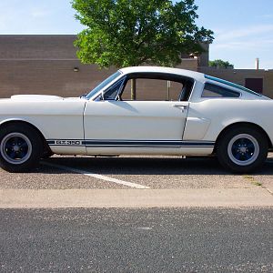 66 GT 350