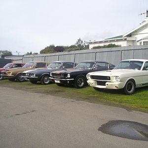 nice line up