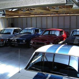 shed full of shelby