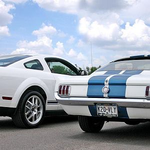 my 65 and 07 shelby gt 500