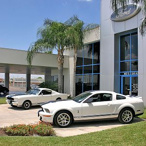 my 65 and 07 shelby gt 500