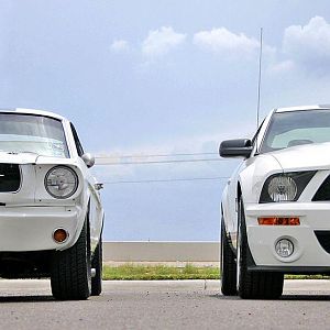 my 65 and 07 shelby gt 500