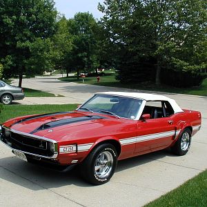 1970 Shelby Gt350 Convert