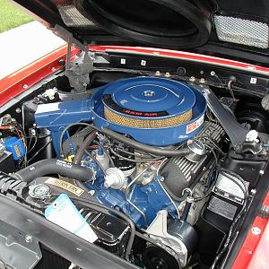 1970 Shelby Gt350 Convert