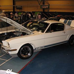 NZ Nat Mustang Show 2006