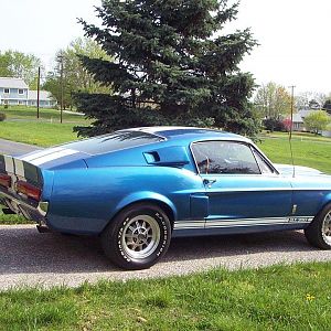 1967 Shelby GT350 #2264