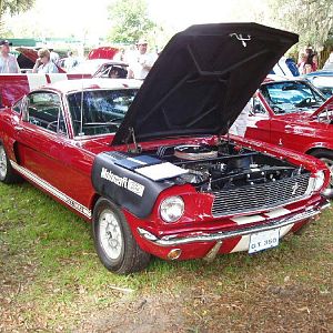 All Ford Show Silver Springs FL 2007