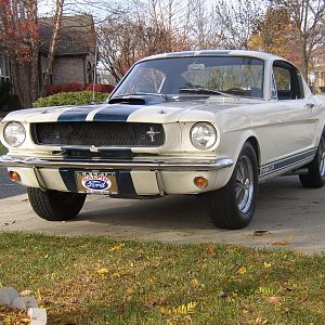 65 Shelby