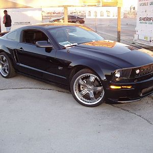 Shelby GT's at Sebring