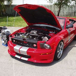 Shelby GT at Barrett Jackson Palm Beach