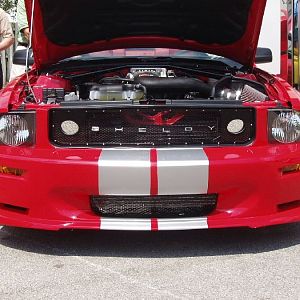 Shelby GT at Barrett Jackson Palm Beach