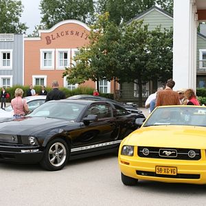 French Mustangs !