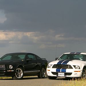 The brand new french GT500 of my friend Tim