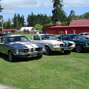 Nat Mustang Conv 07 NZ