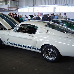 Nat Mustang Conv 07 NZ