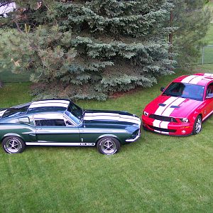 Our '67 & '07 GT500's