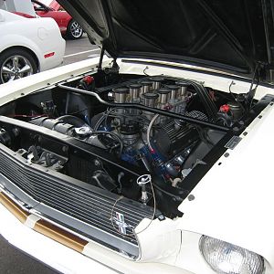 1966 GT350H