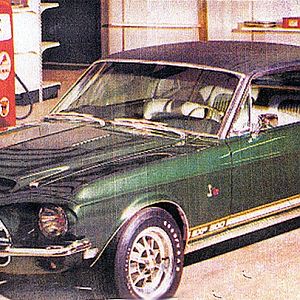 Exp. Shelby Green Hornet