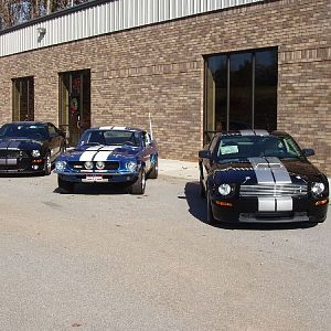 GT, GT500, GT350