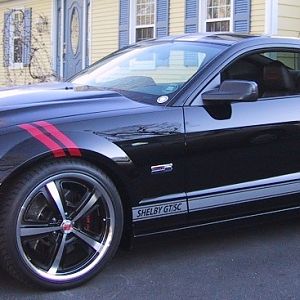 rogers 2007 Shelby GT