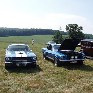 66 and 67 GT350's