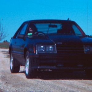 1981 Mustang Cobra