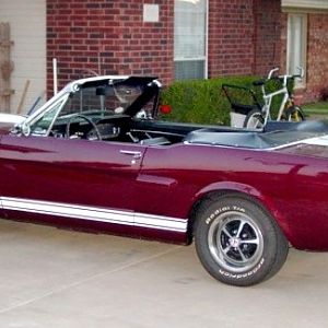 1966 GT350 Convertible "Tribute" Restoration