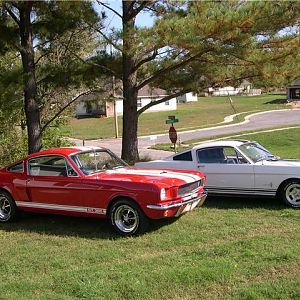 1966 Fastback and 1966 Shelby Rebody