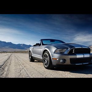 2010 Shelby Gt500