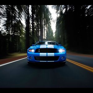 2010 Shelby Gt500