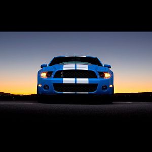 2010 Shelby Gt500