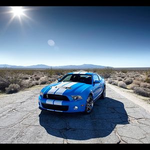 2010 Shelby Gt500