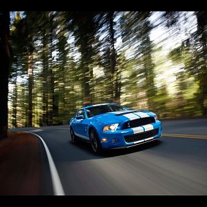 2010 Shelby Gt500