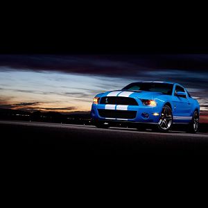 2010 Shelby Gt500