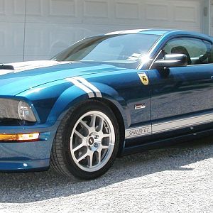 2008 Shelby Gt 2