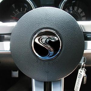 Custom Snake Steering Wheel Cap