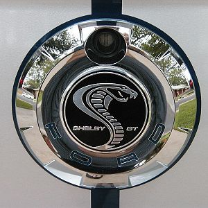 Custom Snake Steering Wheel Cap